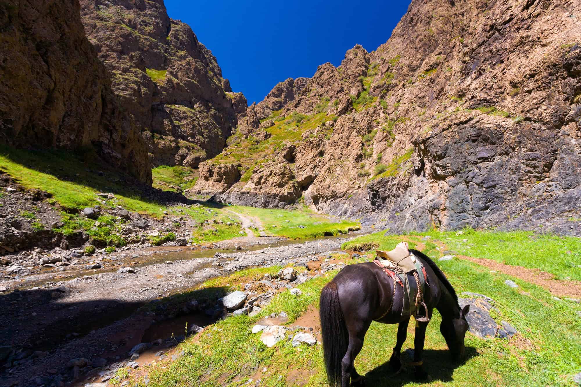 Yolyn Am, la porta del deserto del Gobi