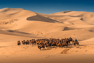 Le dune di Khongoryn Els